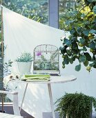Holztisch vor einem Sonnensegel auf der Terrasse und ein Zitronenbaum