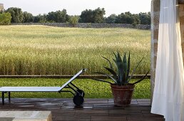 Terrasse mit Liege und Agave im Topf vor Getreidefeld