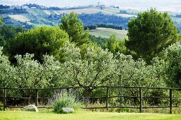 View over a garden fence of a typical hilly Italian landscape