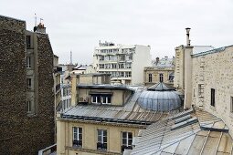 A Parisian roofscape