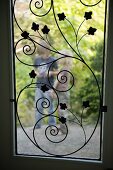 A view of a child through a window featuring floral metalwork