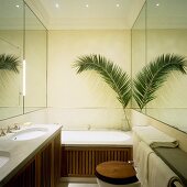 Kleines Bad mit grosser Wirkung - Verspiegelte Wände und Holzlamellenverkleidung