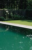 Shades of green - the reflection of water in a pool contrasting with the green on the lawn