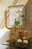 Still life - jars of fruit and twigs on a glass shelf, a picture of the wall and a play of light