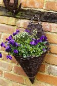 Wooden hanging basket with purple flowers and greenery