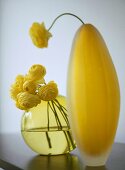 A detail of a modern, yellow glass vase with a display of ranunculus flowers,