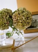 A detail of hydrangeas in a glass vase, photo frame,