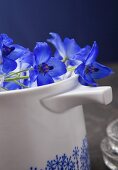 Delphiniums lying on a white jug