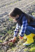 A little girl raking the soil in a field