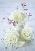White roses in a vase and to the side