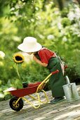 Kleines Mädchen als Gärtner mit Schubkarre und Sonnenblume