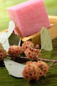 Pink soap and eucalyptus blossom