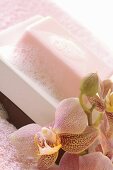 Soap with lather in a soap dish, orchid
