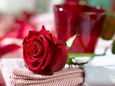 Gedeck mit rotem Glas und roter Rose (Close Up)