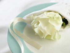White rose wrapped in napkin on plate