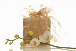 Geschenk und Orchidee