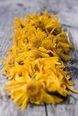 Drying arnica flowers