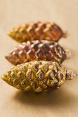 Three fir cones (Christmas tree ornaments)