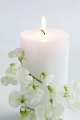 Burning white candle with sweet peas