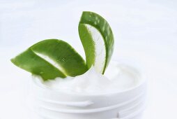 Aloe vera skin cream