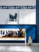 Dogs on and next to rustic wooden bench against blue and white wall with frieze