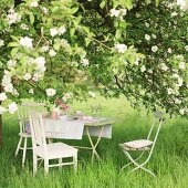 Set garden table below large, blossoming apple tree