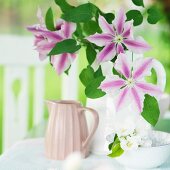 Vase of clematis flowers and bowl of apple blossom