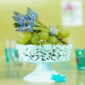 Grapes and a bunch of grape hyacinths in a bowl