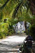 Weissgewandete Frauen gehen im Laubengang eines Palmengartens