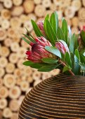 Brown striped, pot belly ethnic vase holding exotic protea flowers with firewood in background