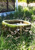Mossy stone trough with water in tall grass with sliding shutters in background