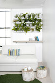 Plants in white window box fixed to wall and white sofa in corner of living room