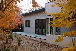 Plain, modern house in woodland