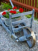 Galvanized pail with geraniums on a wheelbarrow