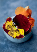 Violas in small spherical vase