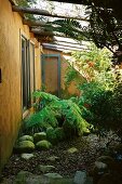 Ferns in rockery against house facade with windows opened outwards