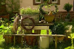 Pflanzen in Kübeln auf & neben altem Holztisch in sommerlichem Garten