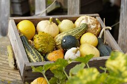Various ornamental gourds in wooden crate