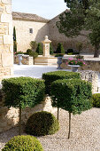 Stone fountain in courtyard of grand country house; topiary box cubes in foreground