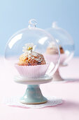 A muffin under a cloche on a mini cake stand on a doily