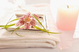Flower on tray and towel