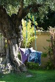 Cushions on swing hanging from old olive tree