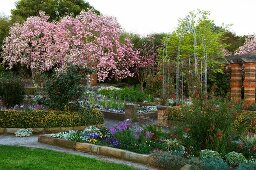 Gartenanlage mit blühendem Kirschbaum