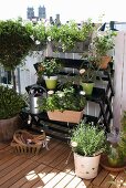 Potted flowering plants on folding plant rack on roof terrace