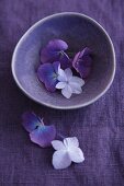 Sill life in purple - hydrangea flowers in a bowl on a linen cloth