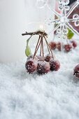 Crab apples on twig and star-shaped glass ornament in artificial snow