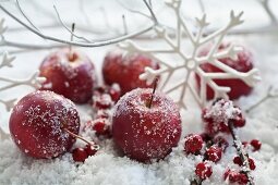 Frosty apples, holly berries and snowflake ornaments in artificial snow