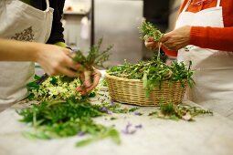 Women sorting various herbs in kitchen