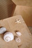 Shells and starfish on cross-grained surface of modern wooden stool