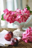 Pink flowers and plums